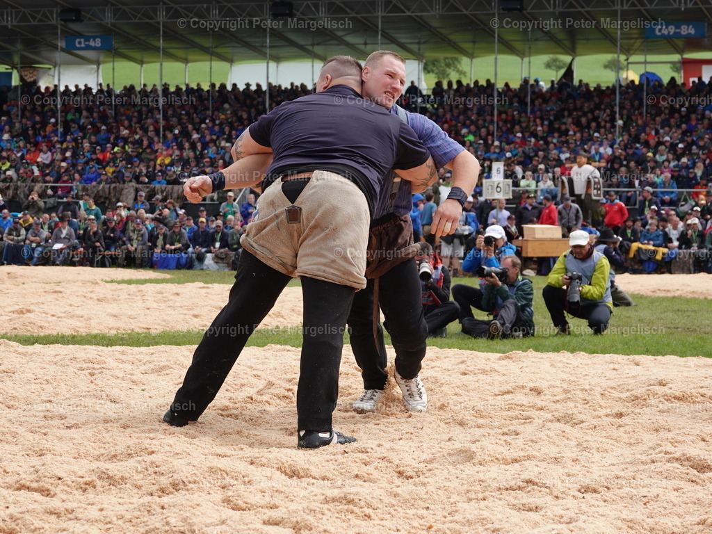 DSC08018 | Schwingen - Realisiert mit Pictrs.com