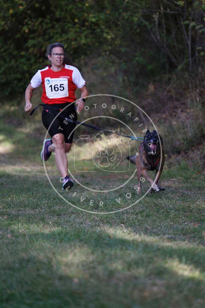 0L8A5387 | Hundefotografie, Tierfotograf, Pfotenfotografie, Fotoshooting Hund, Hunde Portrait, Hundesport, Hundeportraits, Heideshooting, Hunde, Sportfotograf, Hundefotograf, Turnierhundsport, THS,  - Realisiert mit Pictrs.com