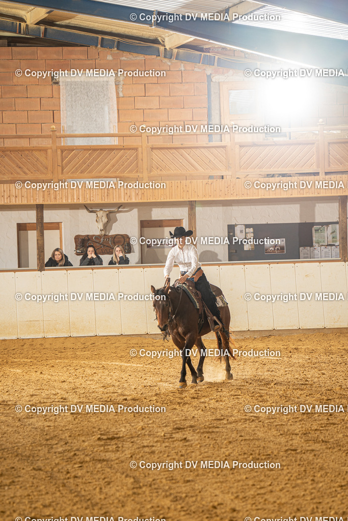 MIT00769 | dv-media-shop - Realisiert mit Pictrs.com