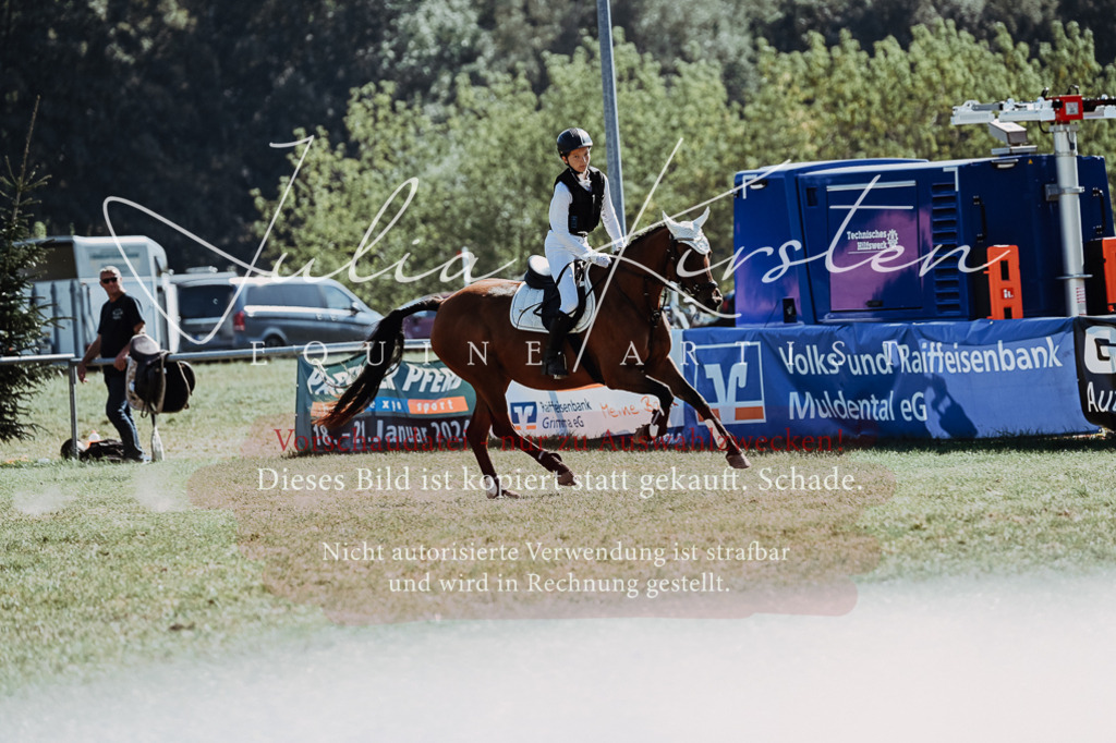 DSC_6616 | Pferde- und Turnierfotografie in Westsachsen. Pferdeportraits, Auftragszeichnungen und intuitive Kunst.
