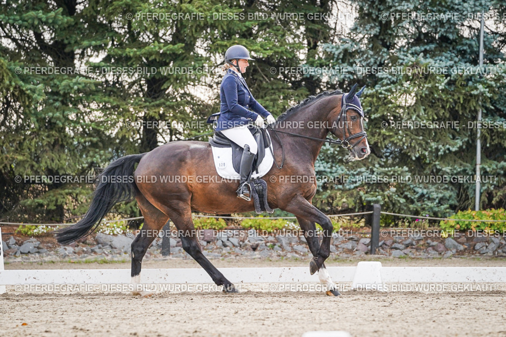 DSC00185 | Pferdegrafie