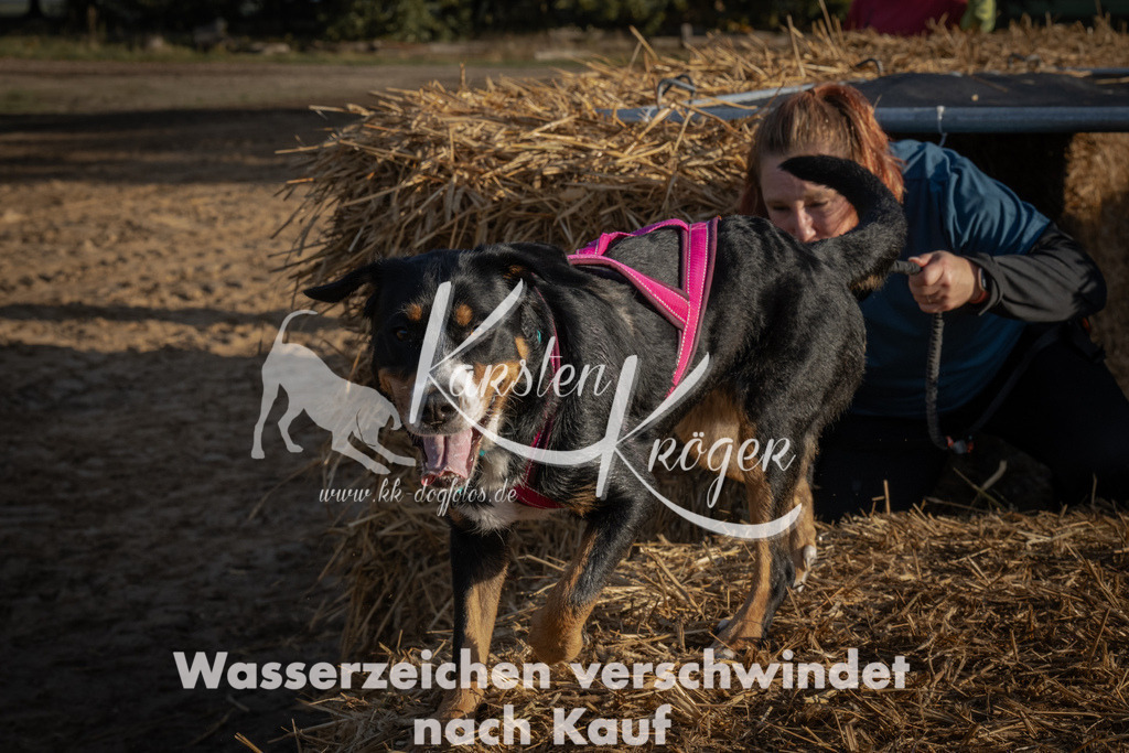 0946_ZZ94638 | kk-dogfotos