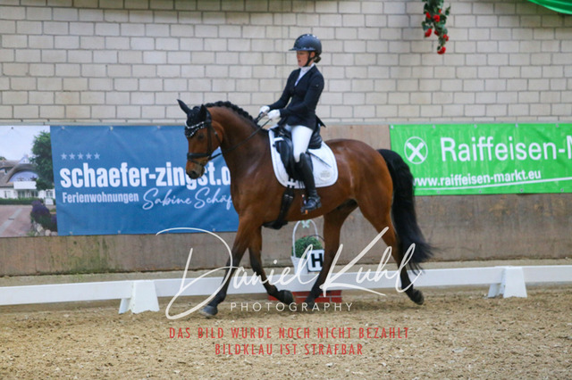 IMG_2814 | Turnierfotos kaufen im Webshop von Daniel Kuhl Photography – entdecke professionelle Reitsportfotos aus Turnieren & Events. Hochwertige Turnierbilder online bestellen & sichern. Jetzt Fotos von Reitsportturnieren kaufen!
