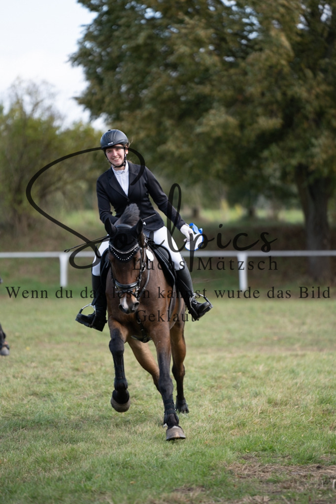 A7V06902 | Pferdefotograf