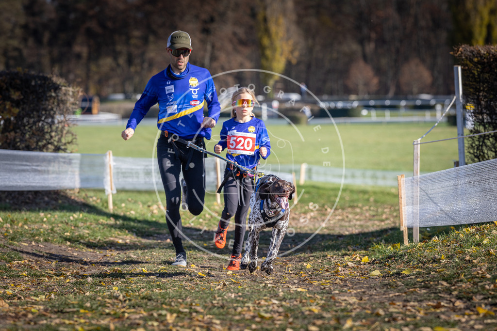 CaniXpix_DV3A8102 | Hundefotografie, Tierfotograf, Pfotenfotografie, Fotoshooting Hund, Hunde Portrait, Hundesport, Hundeportraits, Heideshooting, Hunde, Sportfotograf, Hundefotograf, Turnierhundsport, THS,  - Realisiert mit Pictrs.com