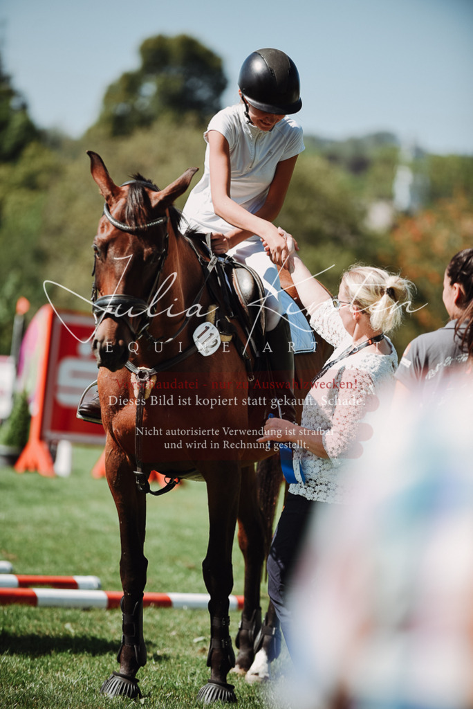 DSC_3343 | Pferde- und Turnierfotografie in Westsachsen. Pferdeportraits, Auftragszeichnungen und intuitive Kunst.