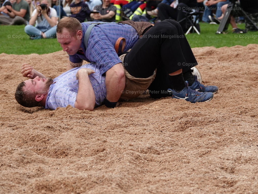 DSC07201 | Schwingen - Realisiert mit Pictrs.com