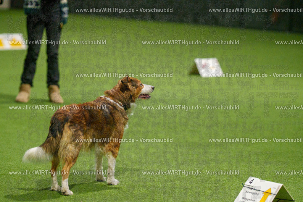 7R508755 | Professionelle Tierfotografie in Mönchengladbach von Daniel Wirth (allesWIRTHgut). Liebevolle & natürliche Bilder von Hunden & Katzen für unvergessliche Erinnerungen.