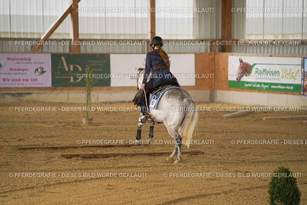 DSC05489 | Pferdegrafie