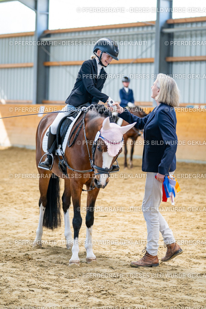 DSC01152 | Pferdegrafie