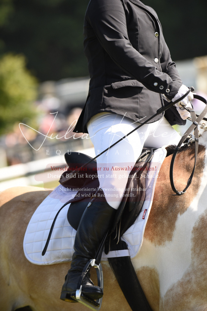 DSC_9094 | Pferde- und Turnierfotografie in Westsachsen. Pferdeportraits, Auftragszeichnungen und intuitive Kunst.