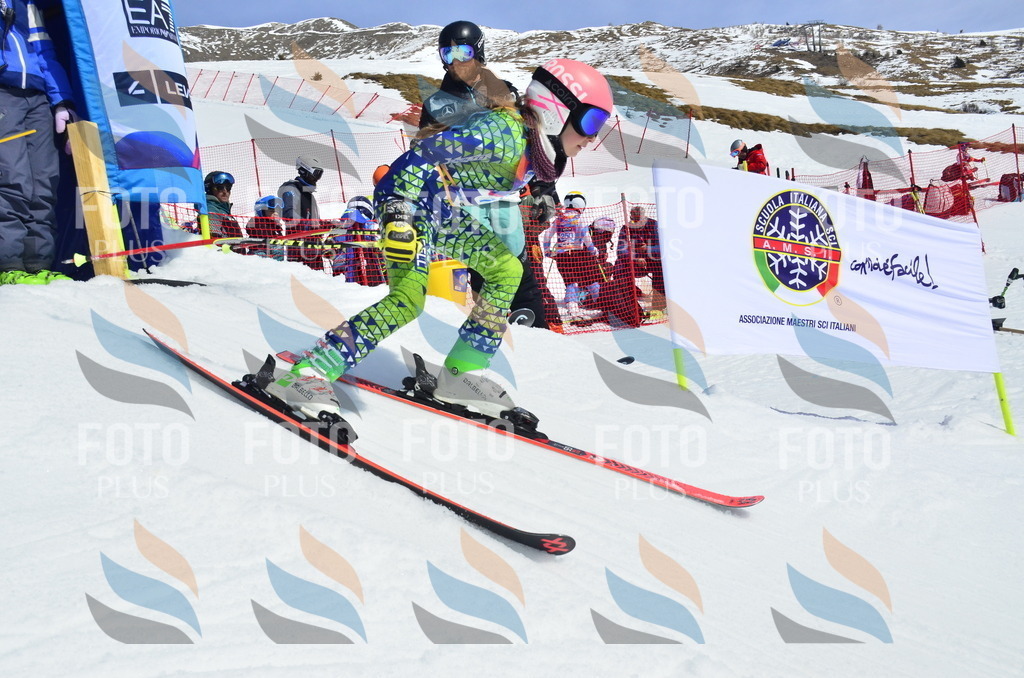 _ELE1249 | holidayphoto