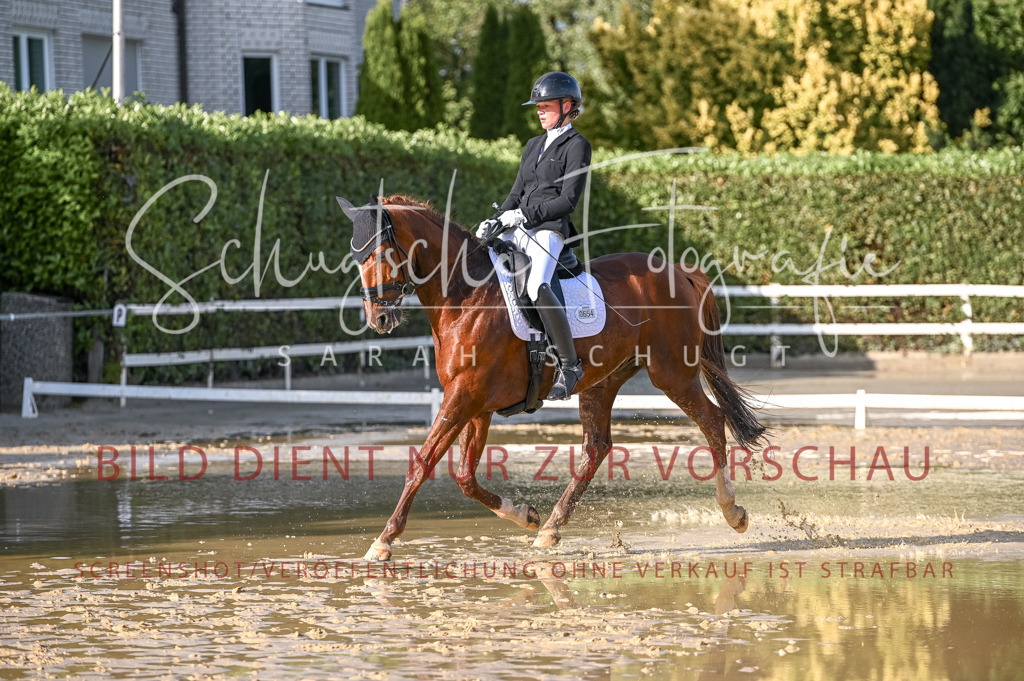Schugtsche-Aluta25-54.Dressurprf.L1Trense-245 | Schugtsche Fotografie - Realisiert mit Pictrs.com