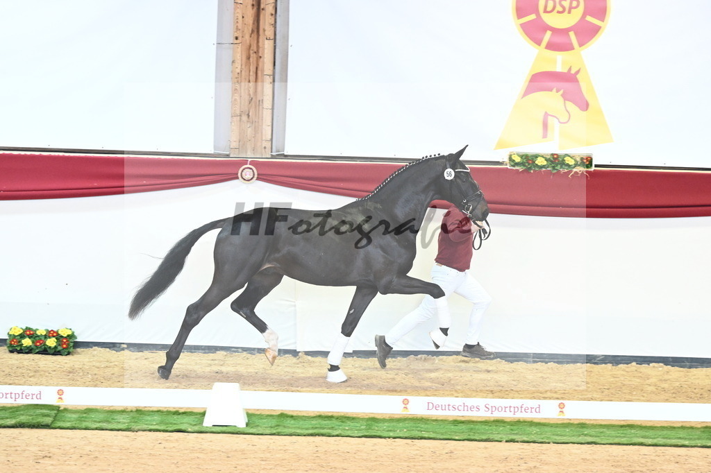 Kat.-Nr. 56 v. Jameson RS2_Fischer_2240713 | hf-fotografie - Realisiert mit Pictrs.com