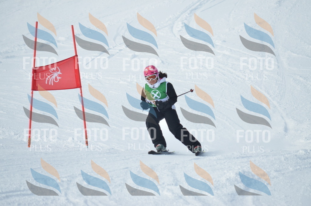 D8655 | holidayphoto