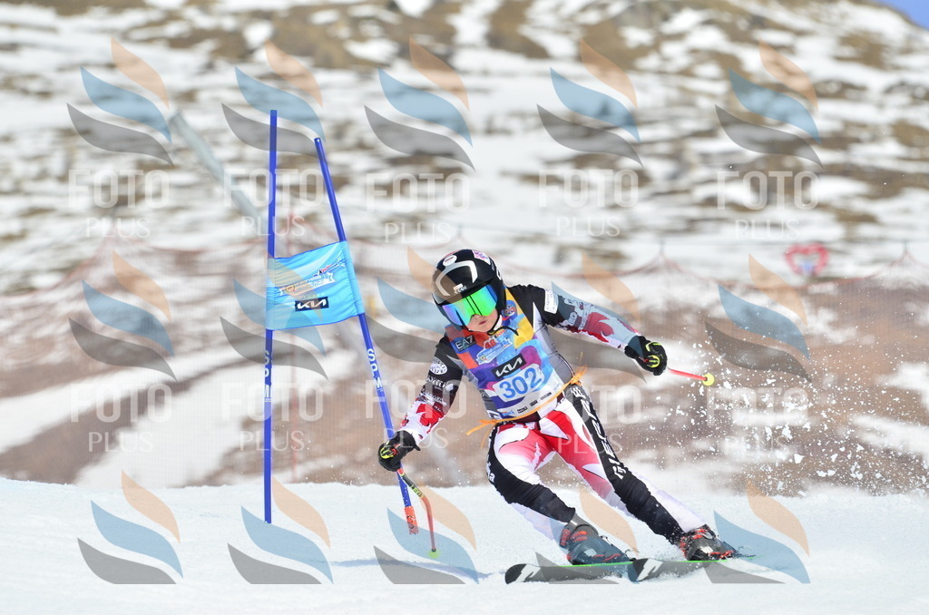 _ELE2208 | holidayphoto