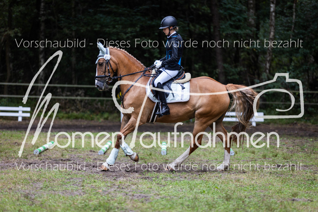 HB-Caprilli-044 | MomenTaufnahmen Pferdesportfotos