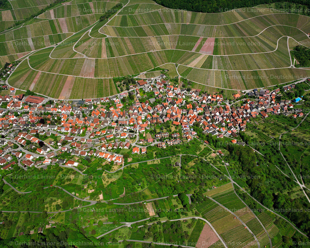 Strümpfelbach, Weinstadt | Weinberge bei Strümpfelbach, Weinstadt