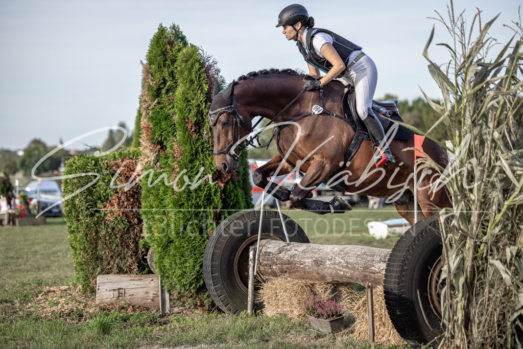 20250907-_3LI8485 | Tierfotografie Pferde, Hunde, Katzen, Haustiere.
Turnierfotografie Reitturniere, Reiten, Springreiten, Dressur in Hanau, dem Main-Kinzig-Kreis und dem Rhein-Main- Gebiet um Frankfurt