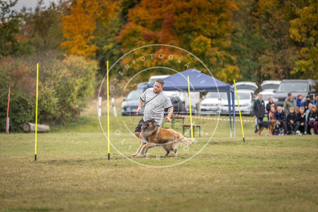 Pfotenfotografie_DV3A8312 | Hundefotografie, Tierfotograf, Pfotenfotografie, Fotoshooting Hund, Hunde Portrait, Hundesport, Hundeportraits, Heideshooting, Hunde, Sportfotograf, Hundefotograf, Turnierhundsport, THS,  - Realisiert mit Pictrs.com