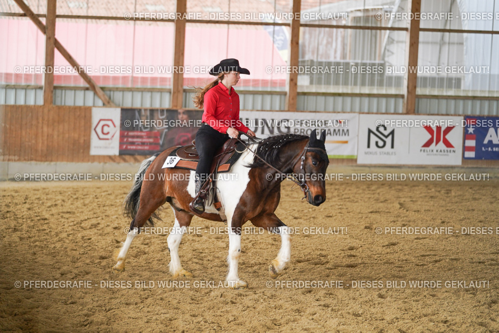 DSC04211 | Pferdegrafie