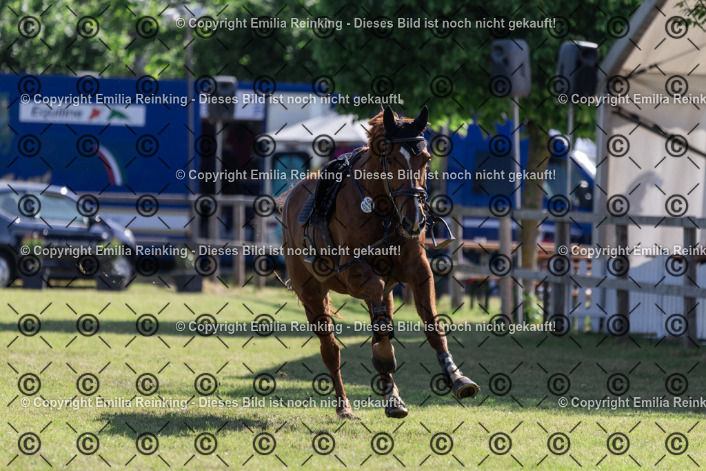 CL5A9370 | Emilia Reinking Fotografie - Realisiert mit Pictrs.com