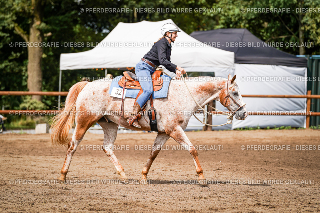 DSC07275 | Pferdegrafie