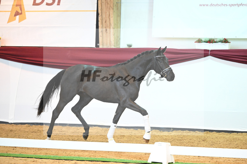Kat-Nr. 25 v. Donier_Koch_66220256 | hf-fotografie - Realisiert mit Pictrs.com