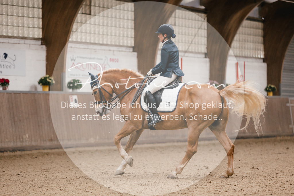 3I6A8454 | Stimmungsvolle Portraits und Reitsportfotografie im Ruhrgebiet und im Münsterland.

Pferdefotografie, Hundefotografie, Tierfotografie, Reportagen, Portraits von Tier und Mensch, Turnierfotografie in Bochum, Recklinghausen, Marl, Haltern am See, Dülmen.. - Realisiert mit Pictrs.com