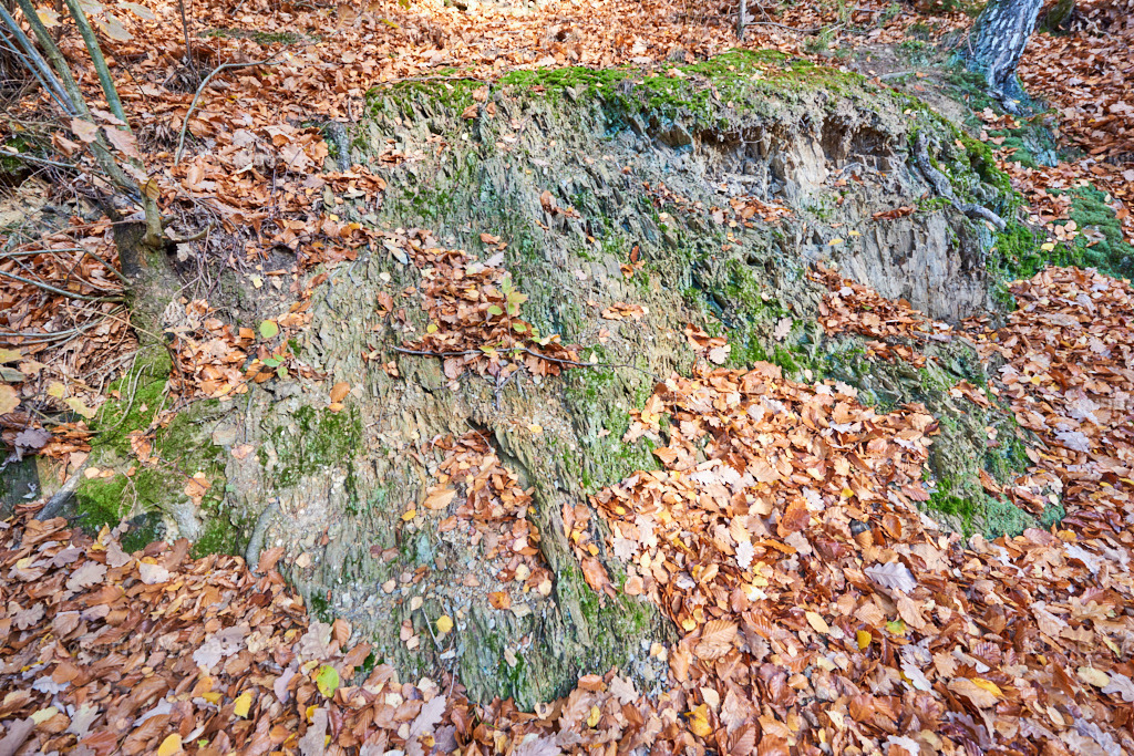 Phyllitische Schiefer | Bedeutsame Landschaften Deutschlands - Realisiert mit Pictrs.com