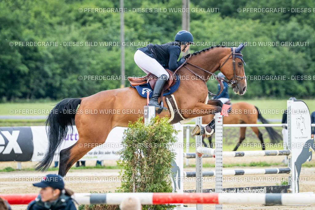 DSC03983 | Pferdegrafie