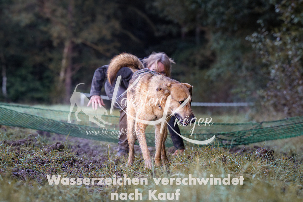 0858_ZZ91373 | kk-dogfotos