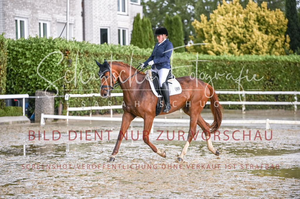 Schugtsche-Aluta25-54.Dressurprf.L1Trense-39 | Schugtsche Fotografie - Realisiert mit Pictrs.com