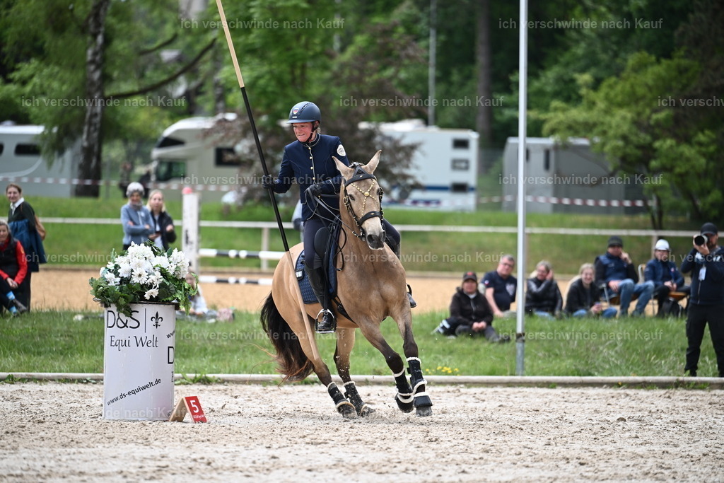 PI26_SP_Sara_Landvogt_226_5348.JPG | working equitationturnier fotograf videograf stoibphotography marixx film working equitation deutschland reitsport turnierfotografie eventfotografie equestrian events