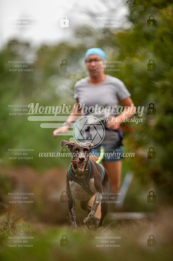 TSB_2023_E5_Canicross-126 | PayLife