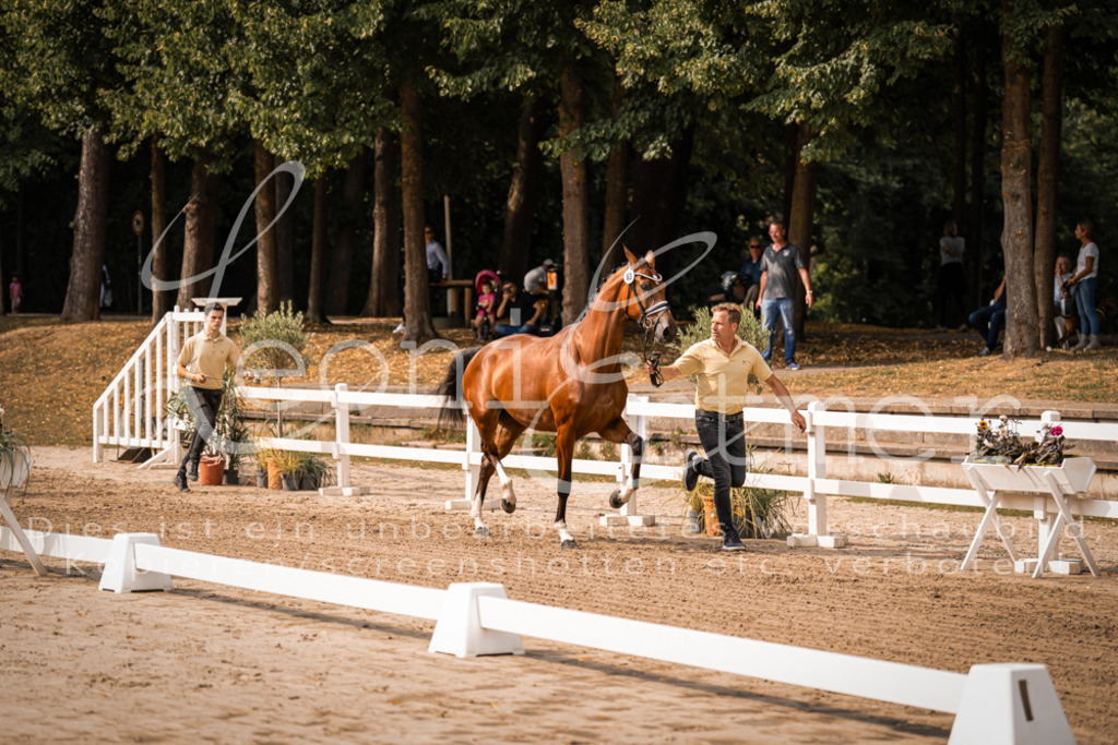 FrER00045 | Leoni Ertmer Photography - Realisiert mit Pictrs.com