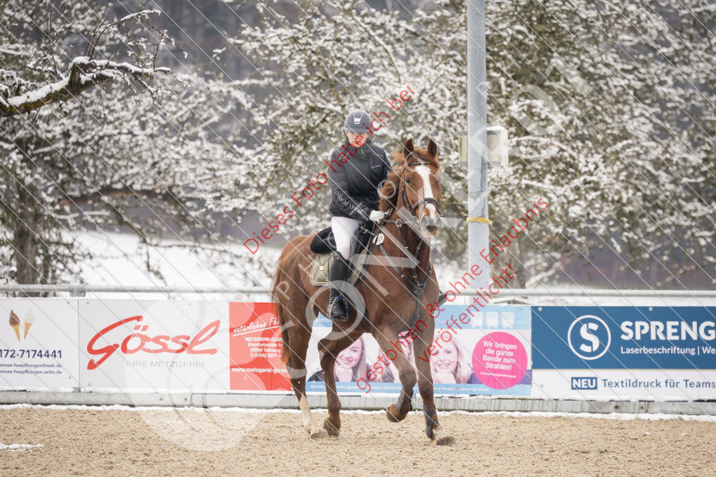 CON_8559 | Sport-, Event- und Tierfotos in Profiqualität. Einfach auswählen, bestellen und herunterladen. Dein Moment – perfekt festgehalten.