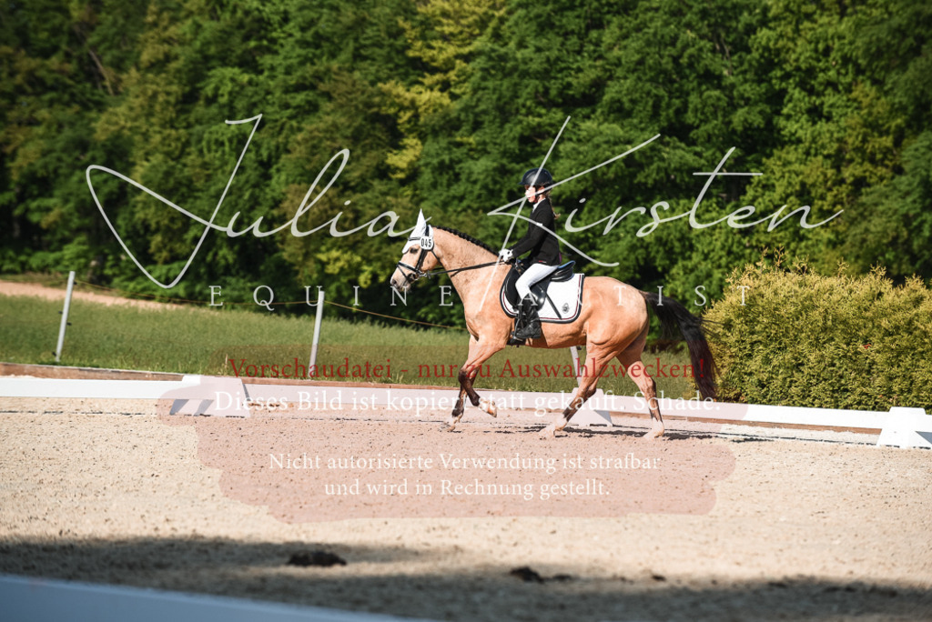 20230518_JK-Röhrsdorf-12-0955 | Pferde- und Turnierfotografie in Westsachsen. Pferdeportraits, Auftragszeichnungen und intuitive Kunst.