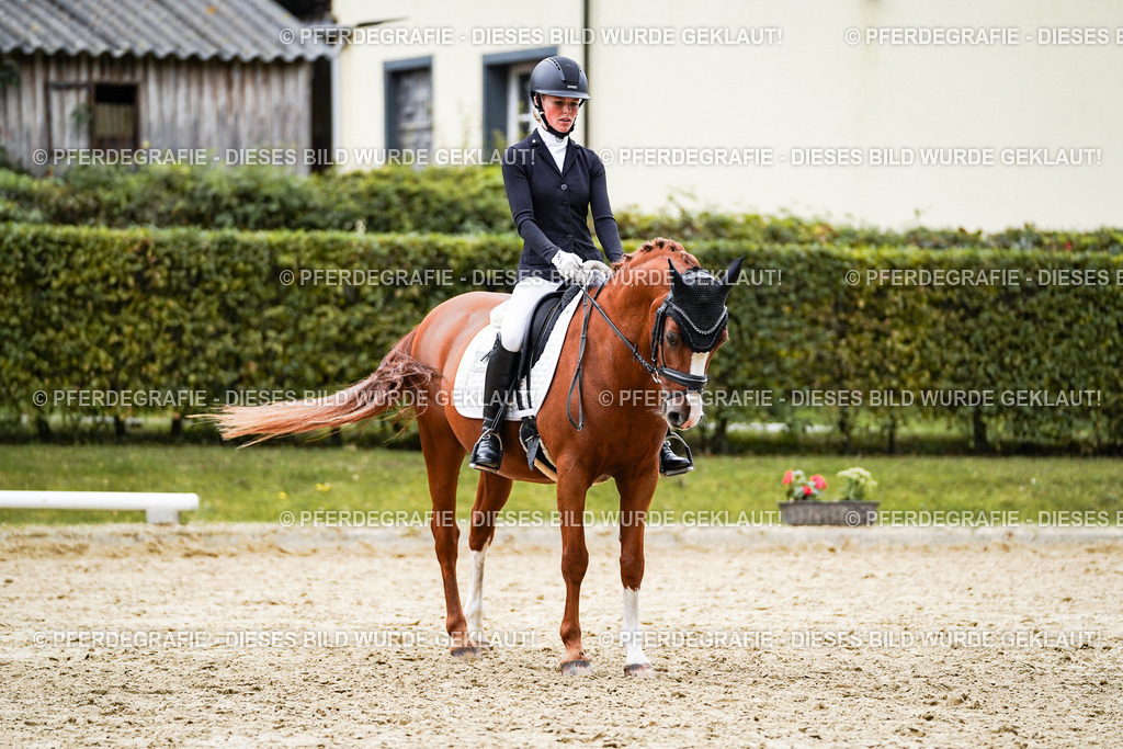 DSC08814 | Pferdegrafie