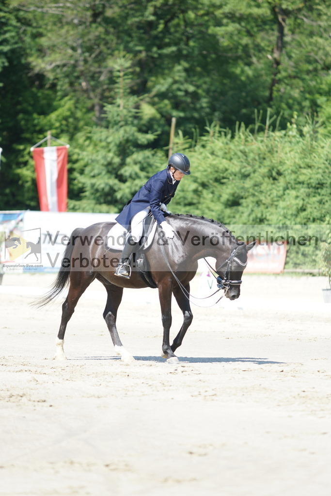 DSC03121 | equestrian-live-com
