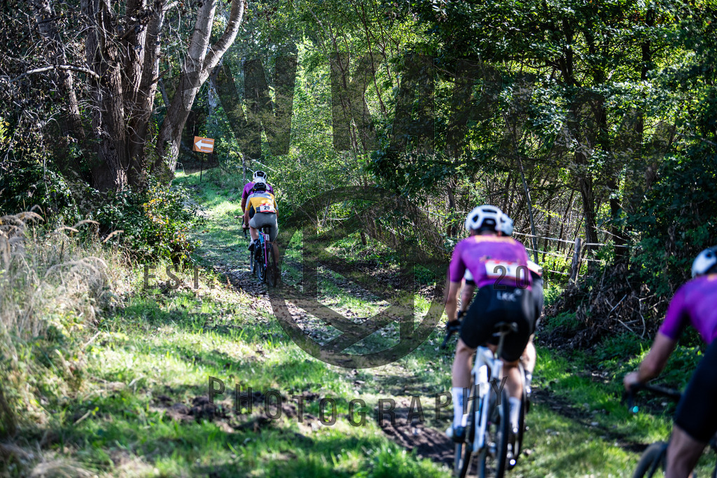 DKP-3961 | Drew Kaplan Photography