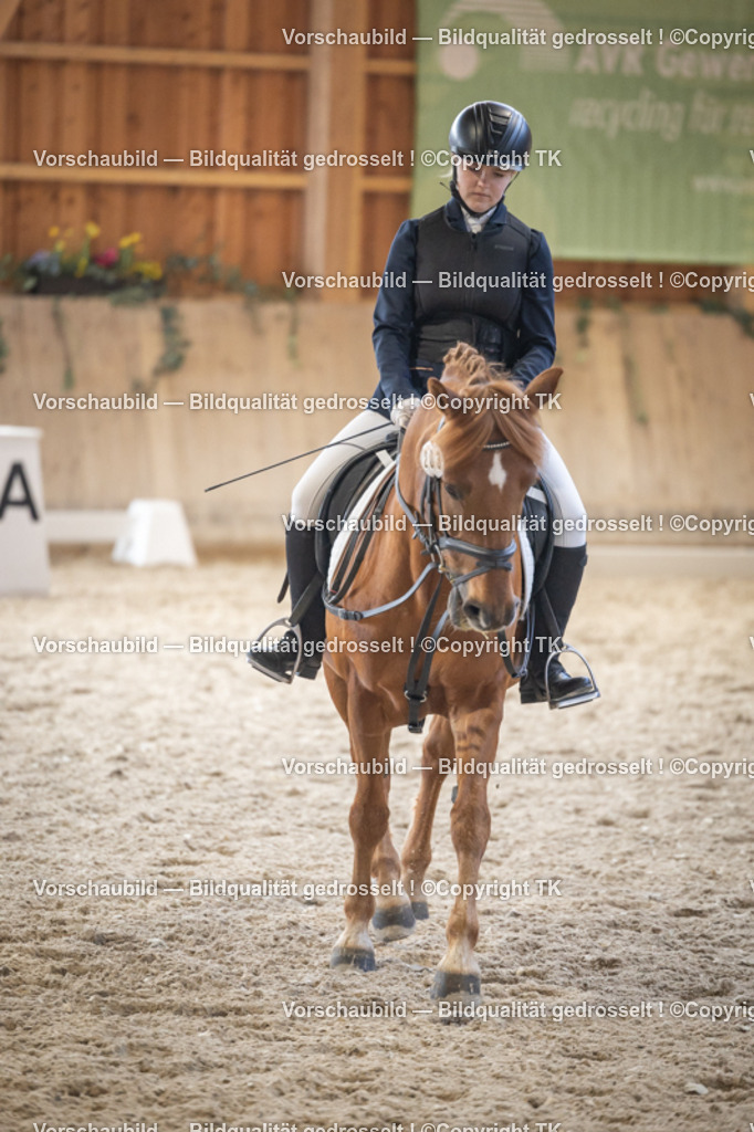 _D5A5649 | Emotionale Pferde- & People-Fotografie rund um Heidelberg, Leimen & Umgebung. Natürliche Fotos von Pferd, Mensch & Familie. Jetzt Termin sichern!