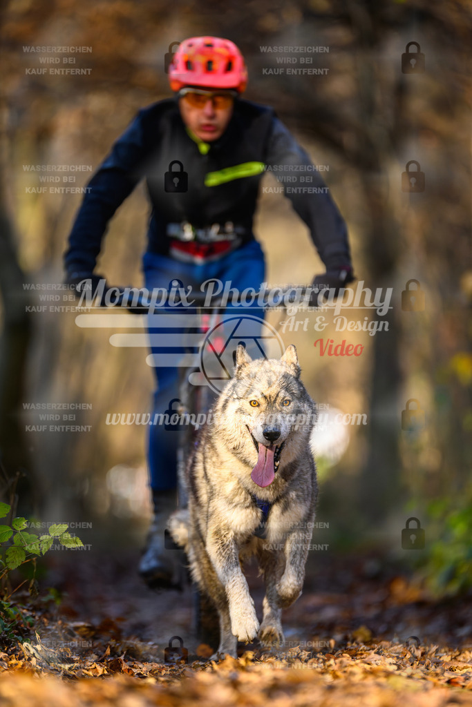MompixPhotography_Eschau2024_Bike-54 | PayLife