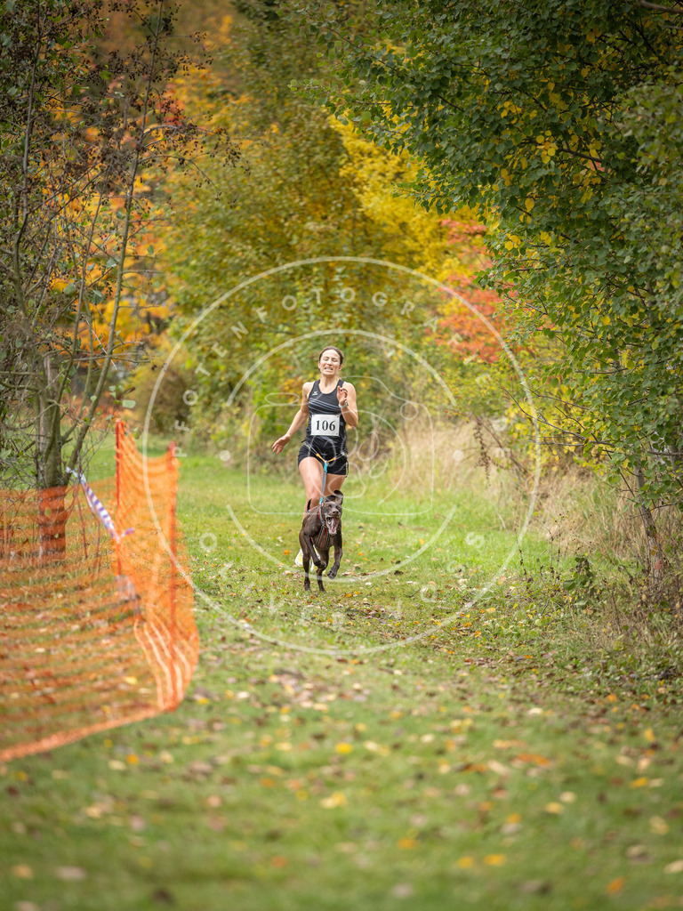Pfotenfotografie_DV3A2369 | Hundefotografie, Tierfotograf, Pfotenfotografie, Fotoshooting Hund, Hunde Portrait, Hundesport, Hundeportraits, Heideshooting, Hunde, Sportfotograf, Hundefotograf, Turnierhundsport, THS,  - Realisiert mit Pictrs.com