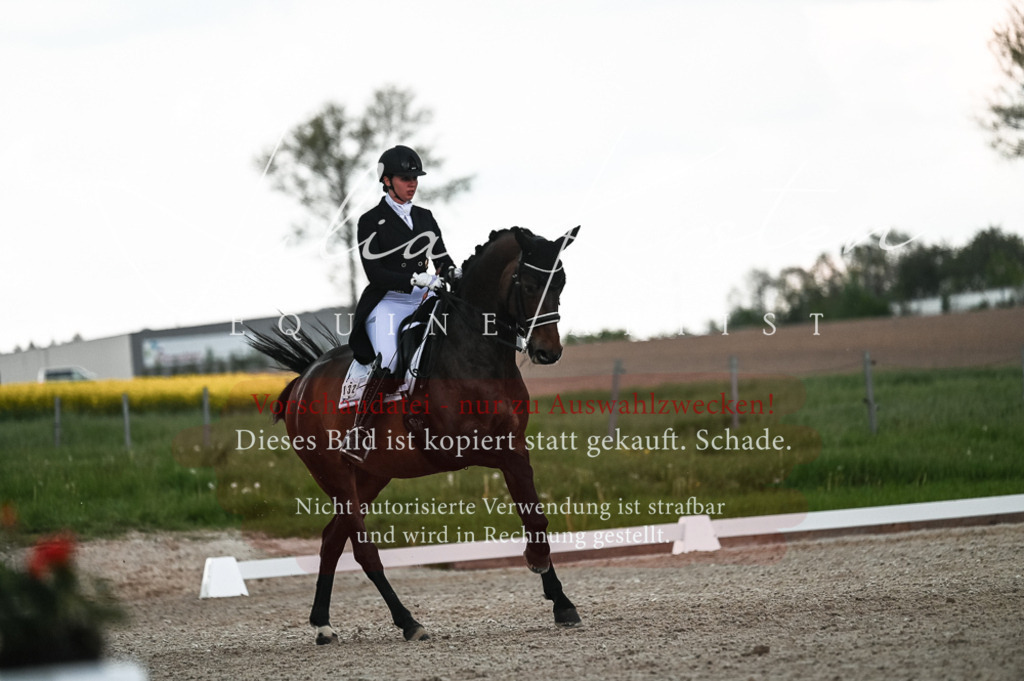 20230514_JK-Röhrsdorf-21-540 | Pferde- und Turnierfotografie in Westsachsen. Pferdeportraits, Auftragszeichnungen und intuitive Kunst.