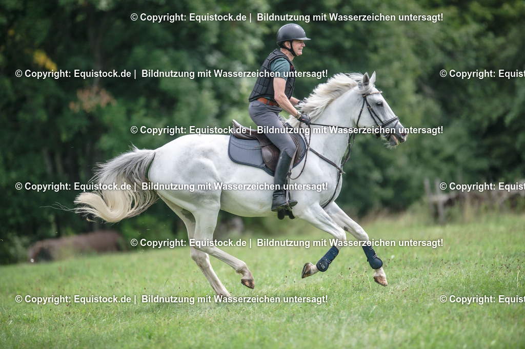 20250726_Vielseitigkeitslehrgang-Marbach_0557 | Foto: Thomas Hartig