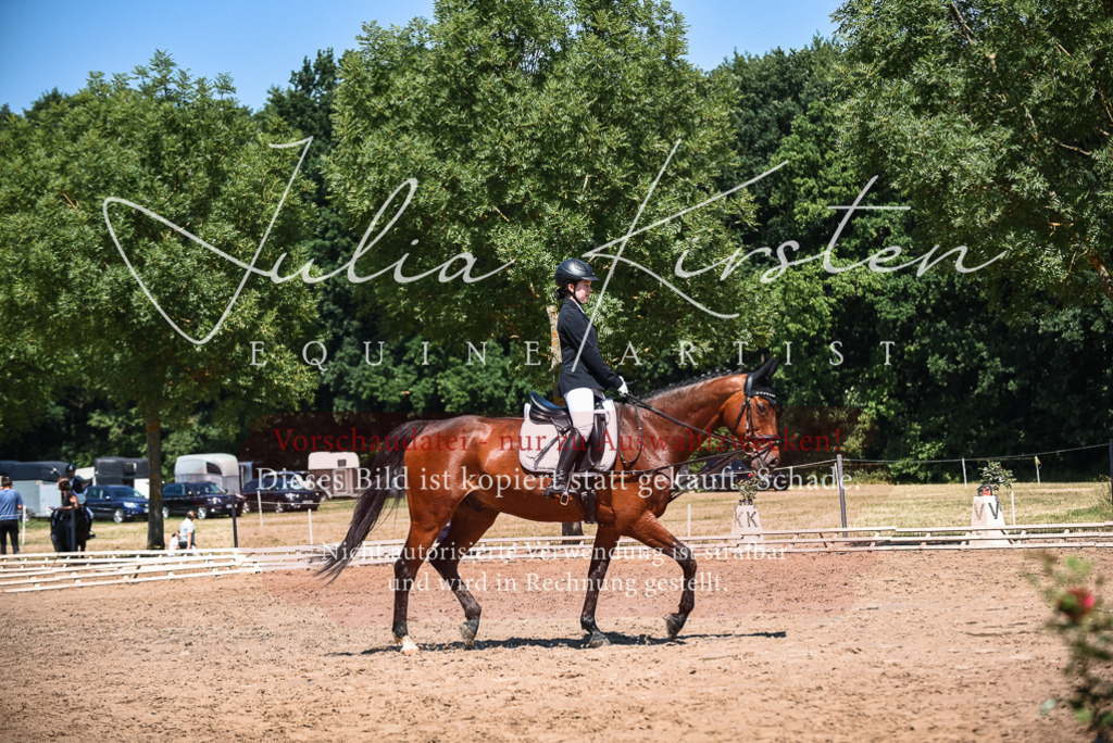 DSC_2746 | Pferde- und Turnierfotografie in Westsachsen. Pferdeportraits, Auftragszeichnungen und intuitive Kunst.