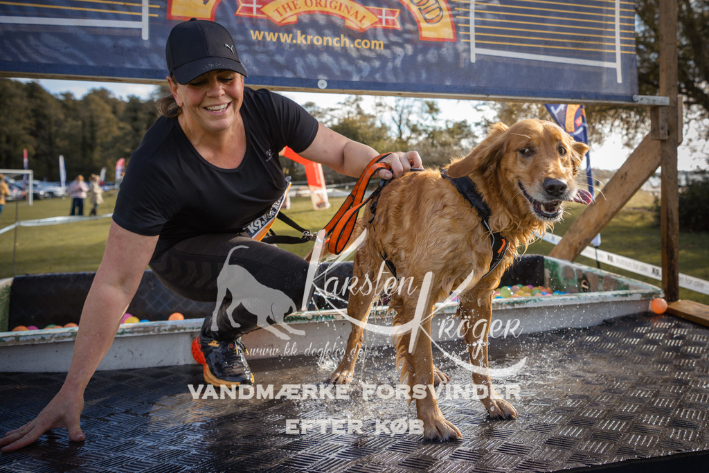 1311_ZZ99537-2 | kk-dogfotos