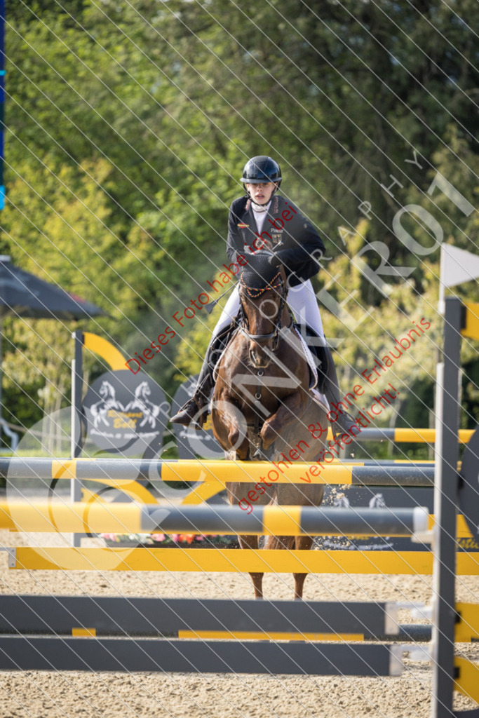 CON_0199 | Sport-, Event- und Tierfotos in Profiqualität. Einfach auswählen, bestellen und herunterladen. Dein Moment – perfekt festgehalten.