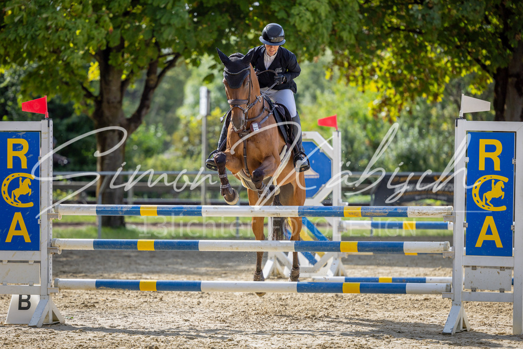 20260905-_3LI7434 | Tierfotografie Pferde, Hunde, Katzen, Haustiere.
Turnierfotografie Reitturniere, Reiten, Springreiten, Dressur in Hanau, dem Main-Kinzig-Kreis und dem Rhein-Main- Gebiet um Frankfurt